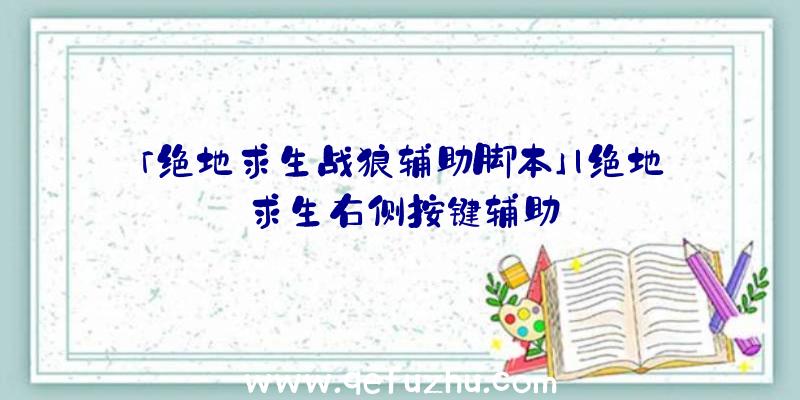 「绝地求生战狼辅助脚本」|绝地求生右侧按键辅助